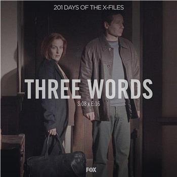 "The X Files" 8.16 Three Words在线观看和下载