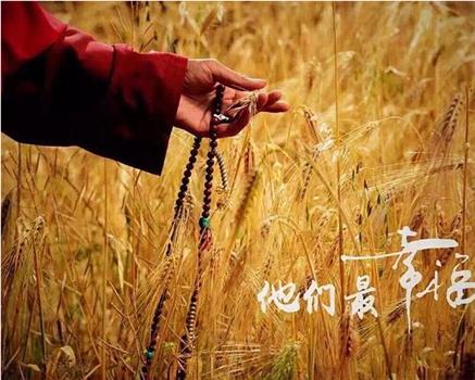 他们最幸福在线观看和下载