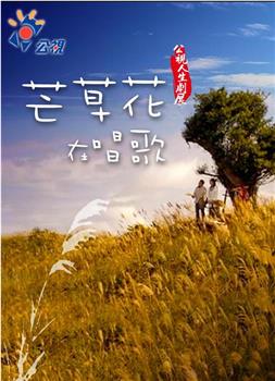 芒草花在唱歌在线观看和下载