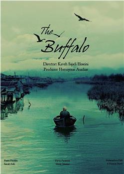 Buffalo在线观看和下载