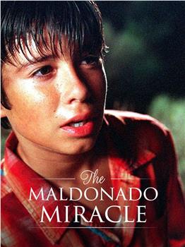 The Maldonado Miracle在线观看和下载