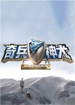 奇兵神犬在线观看和下载