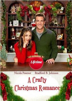 A Crafty Christmas Romance在线观看和下载