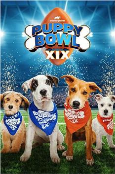 Puppy Bowl XIX在线观看和下载