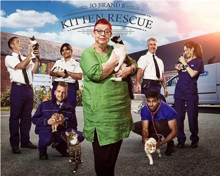 Jo Brand's Cats & Kittens Season 2在线观看和下载