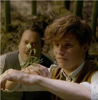 Fantastic Beasts and Where to Find Them: Bowtruckle在线观看和下载