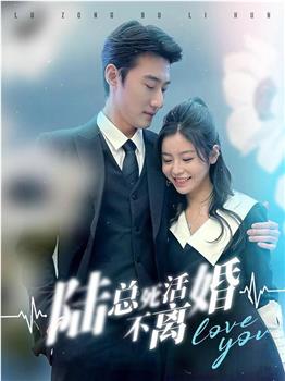 陆总死活不离婚在线观看和下载