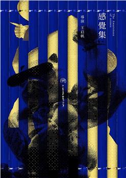 感觉集在线观看和下载
