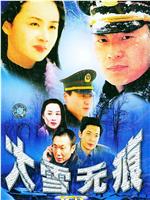 大雪无痕