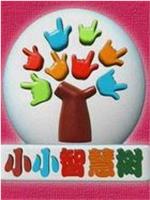 小小智慧树观看