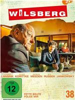 Wilsberg