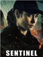 哨兵行动网盘分享