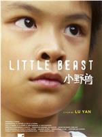 小野兽 Little Beast