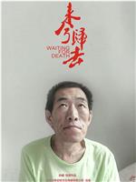 来兮归去