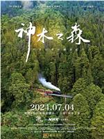 神木之森：阿里山森林铁道纪行