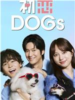 初恋DOGs观看