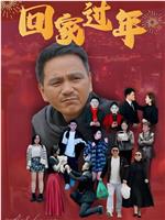 回家过年